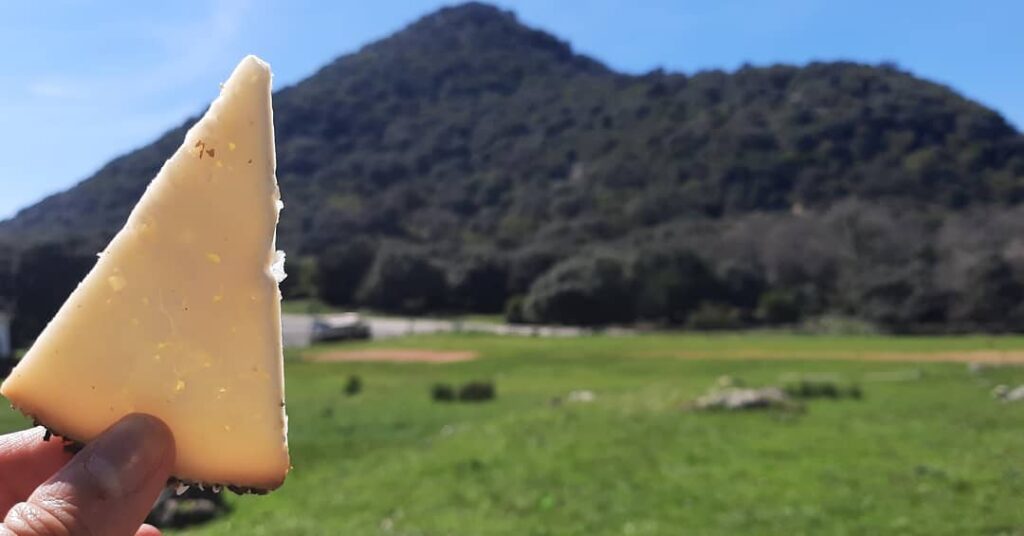 Queso en la sierra Imagen de Queso en la sierra